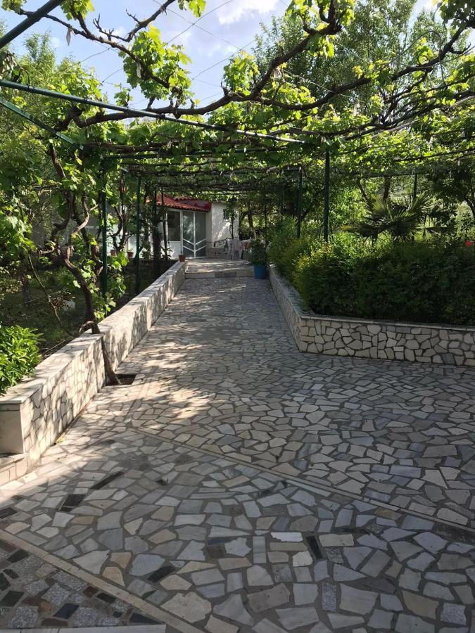 Kasaj Villa Gjirokastër المظهر الخارجي الصورة
